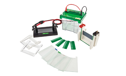 JY-SCZ2+型 垂直电泳槽