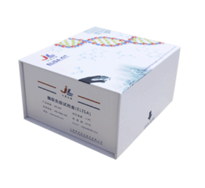 人甲状旁腺激素相关蛋白(PTHrP)ELISA检测试剂盒 [货号:JL10290]