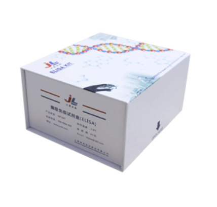 大鼠基质金属蛋白酶13(MMP-13)ELISA检测试剂盒 [货号:JL10312]