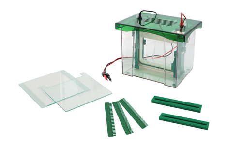 JY-JX5L型 垂直电泳槽