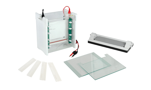 JY-SCZ6+型 垂直电泳槽