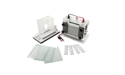 JY-SCZ9型 垂直电泳槽