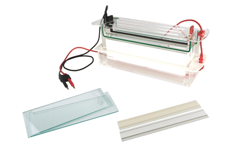 JY-SCZF-A型 高通量垂直电泳槽