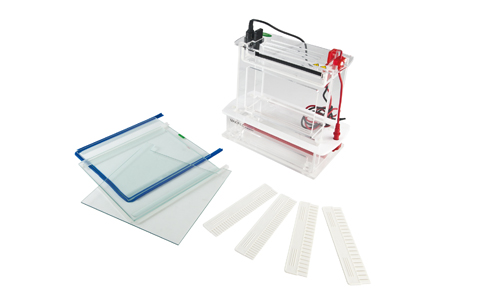 JY-SCZ6型 垂直电泳槽