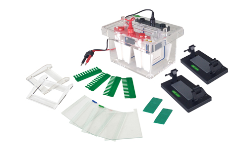 JY-SCZ4+型 垂直电泳槽